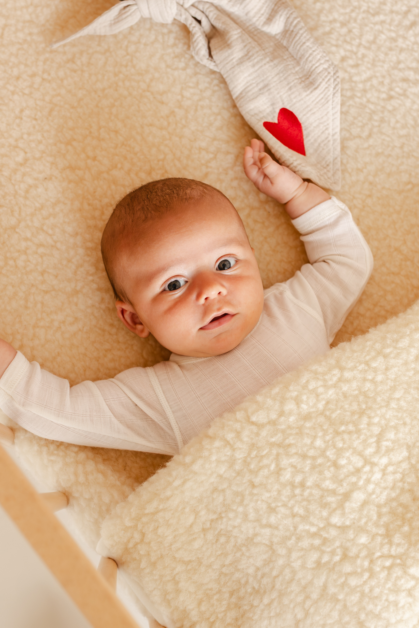 Merino Wollen Deken - Afbeelding 3